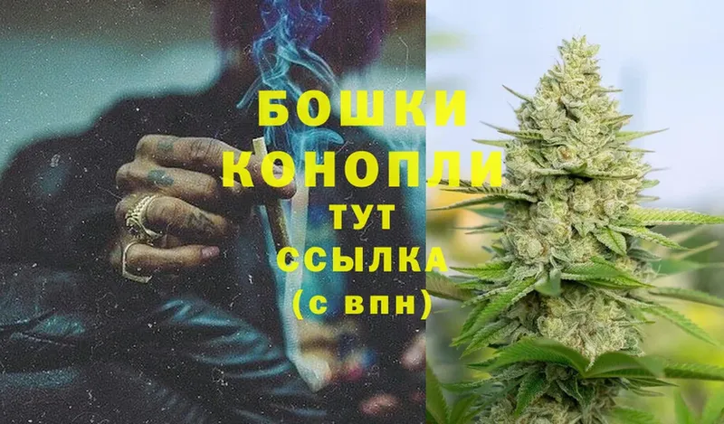 Бошки Шишки планчик  купить   Высоцк 